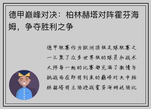 德甲巅峰对决：柏林赫塔对阵霍芬海姆，争夺胜利之争