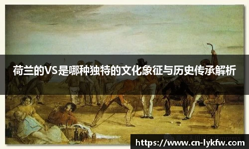 荷兰的VS是哪种独特的文化象征与历史传承解析